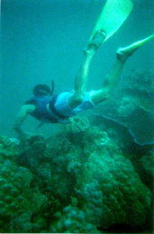 local spearfisherman in front of Sanur