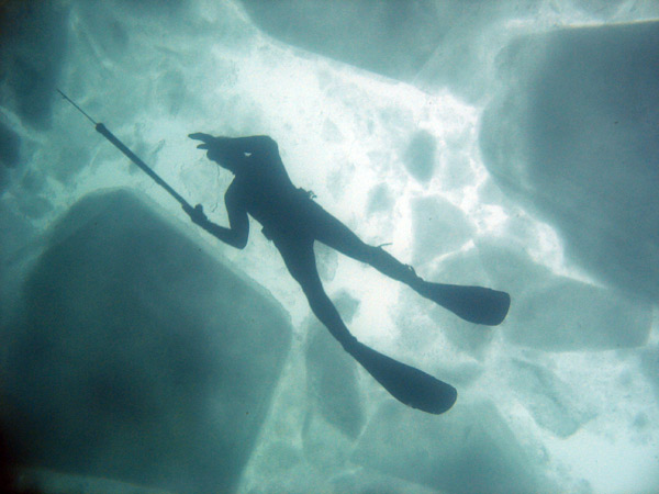 underwater shot of me on the surface among ice floats